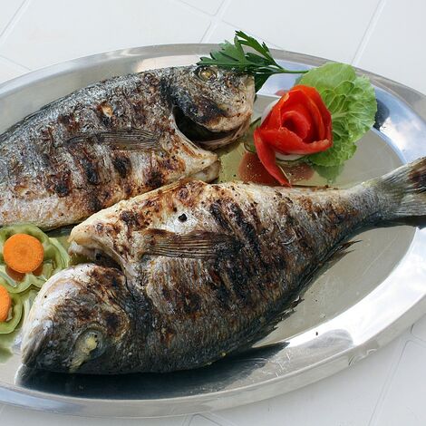 fish-2073798_1920