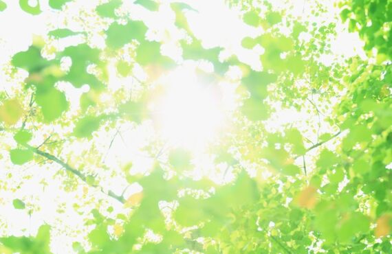 名古屋　栄　高級酒なら日本酒専門店ゆとり