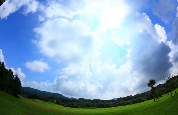 愛知　愛知県の酒造好適米　夢山水　若水　夢吟香